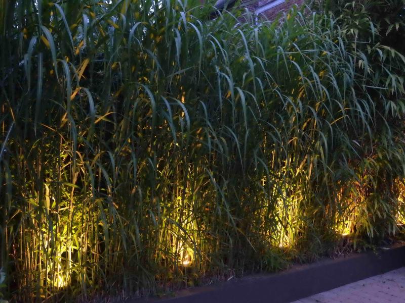 Réalisation - Eclairage de jardin avec spots led